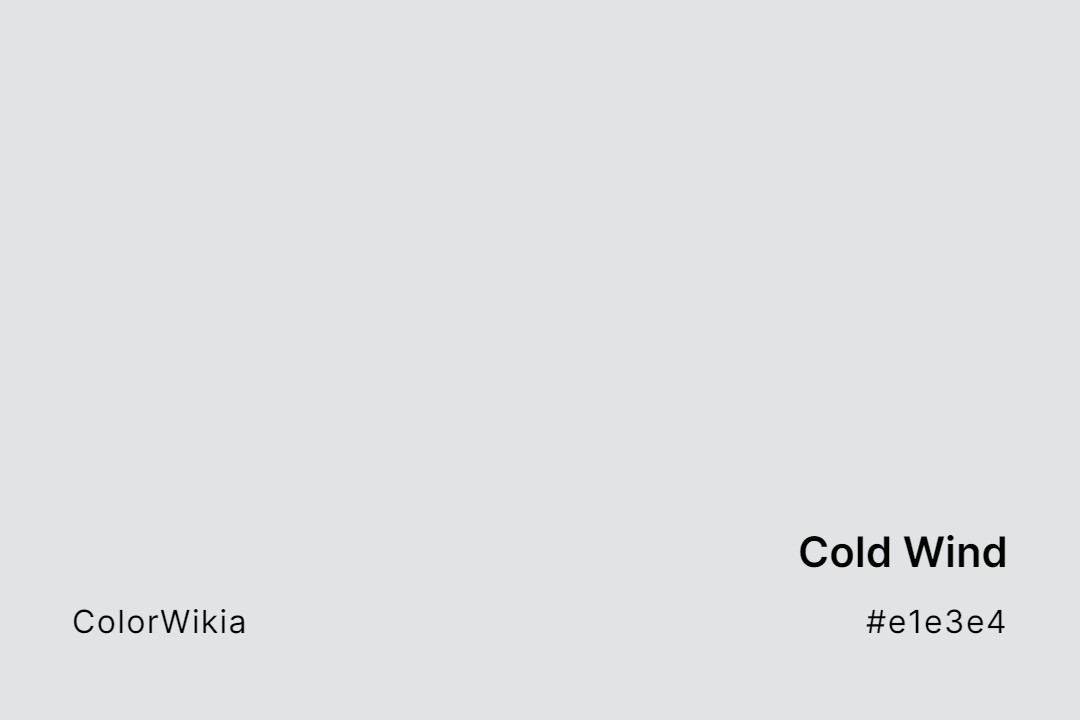 cold wind color e1e3e4