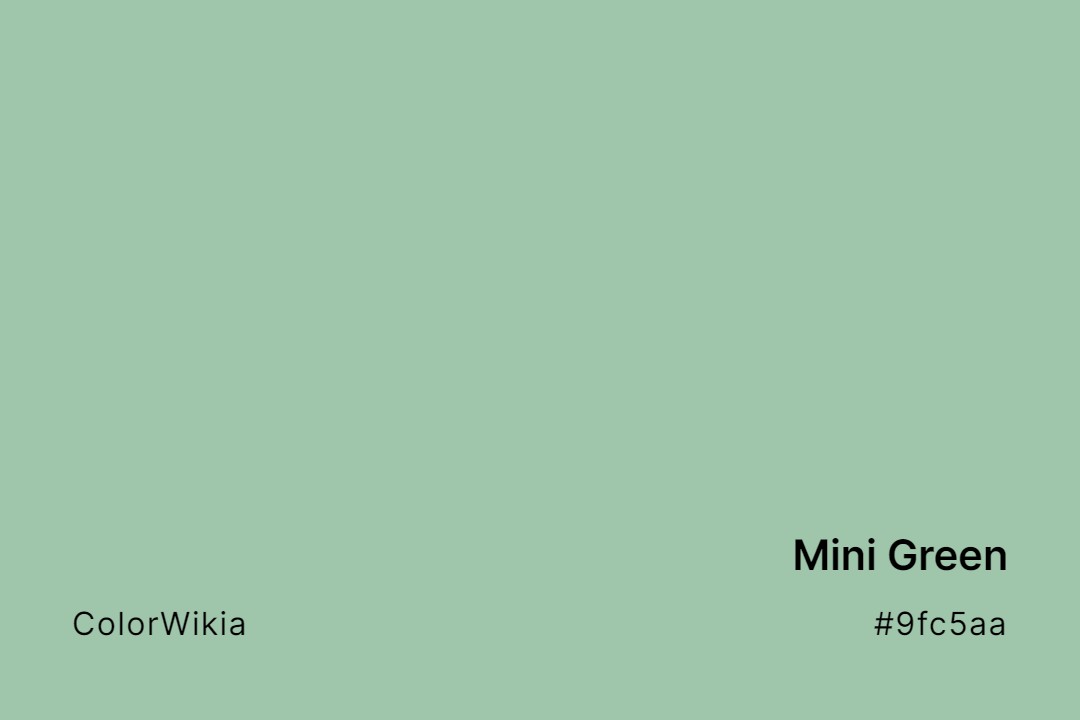 mini green color 9fc5aa
