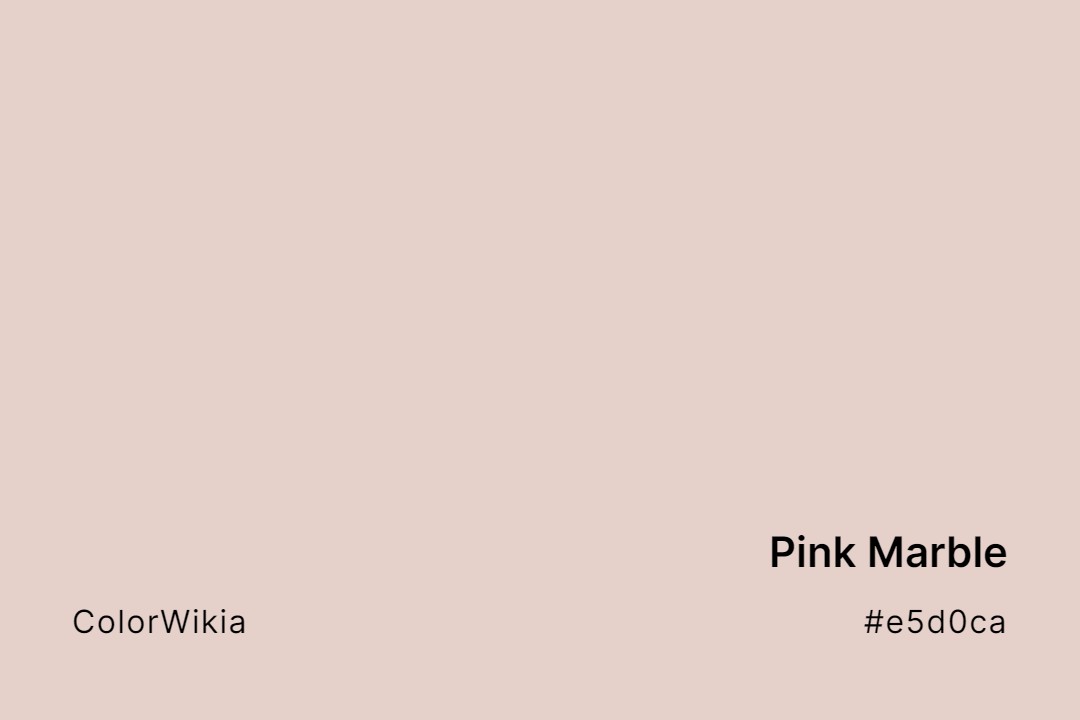 Pink Marble Color – #e5d0ca: Codes and Complete Breakdown