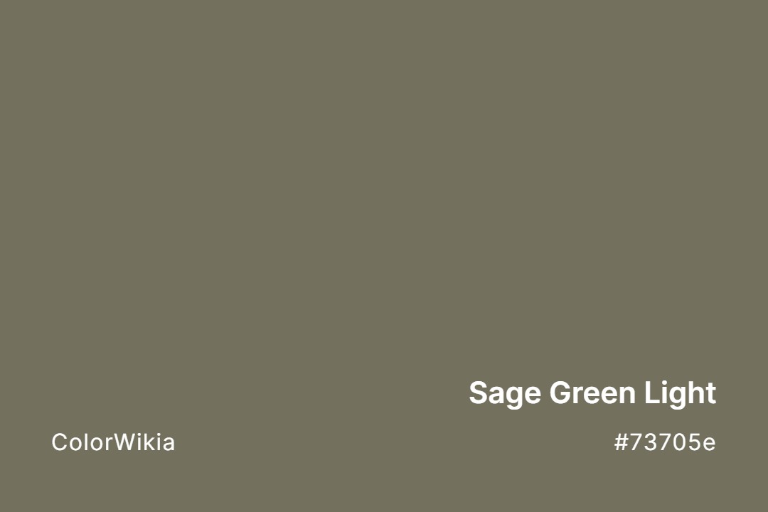 sage green light color 73705e