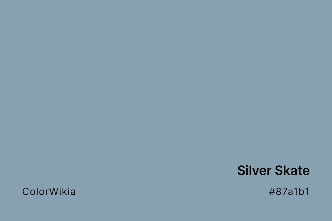 silver skate color 87a1b1