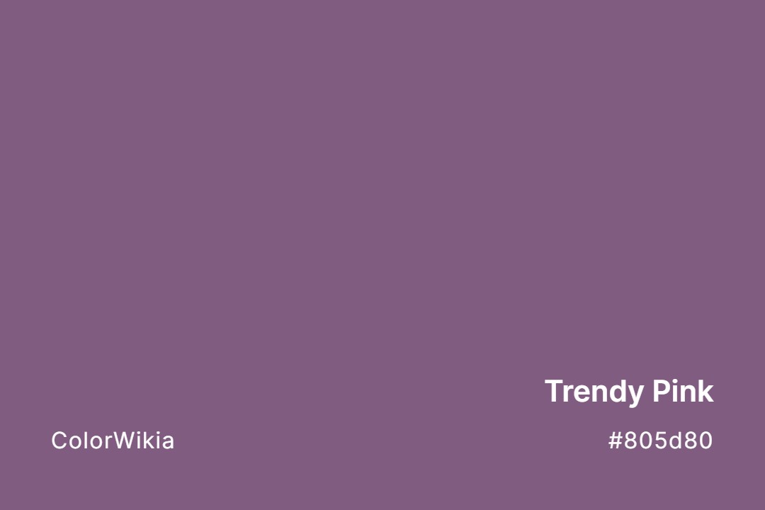 Trendy Pink Color – #805d80: Codes and Complete Breakdown