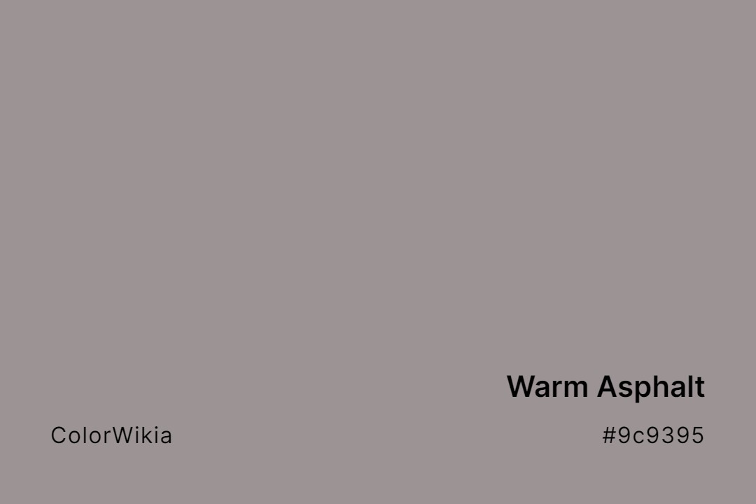 warm asphalt color 9c9395