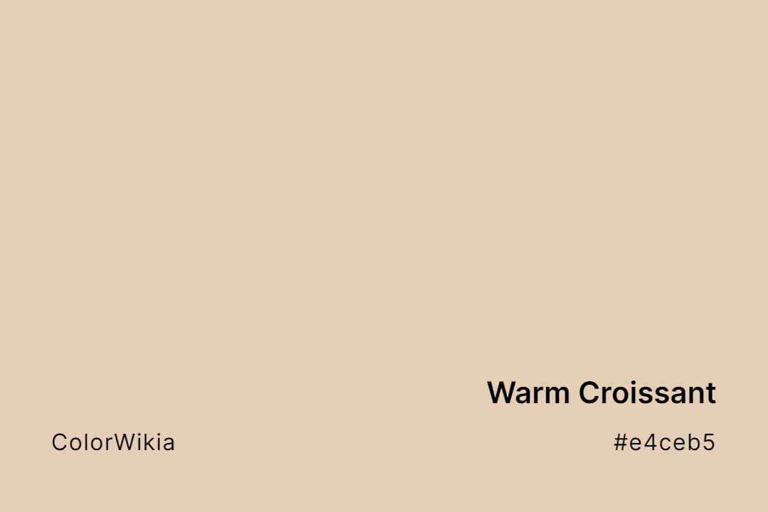 warm croissant color e4ceb5